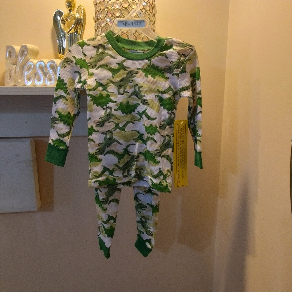 Green Dinosaur Pajama Set